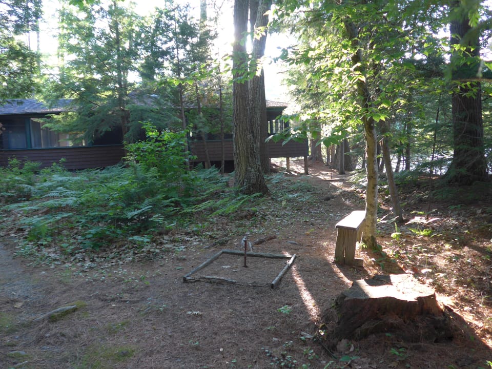 Horseshoes