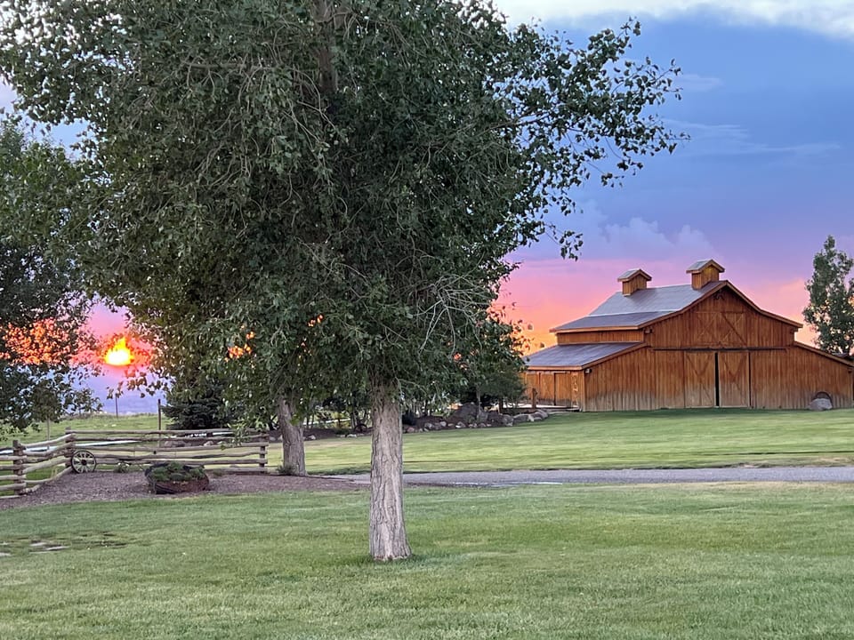spacious front yard with barn.  You will feel like you own the place