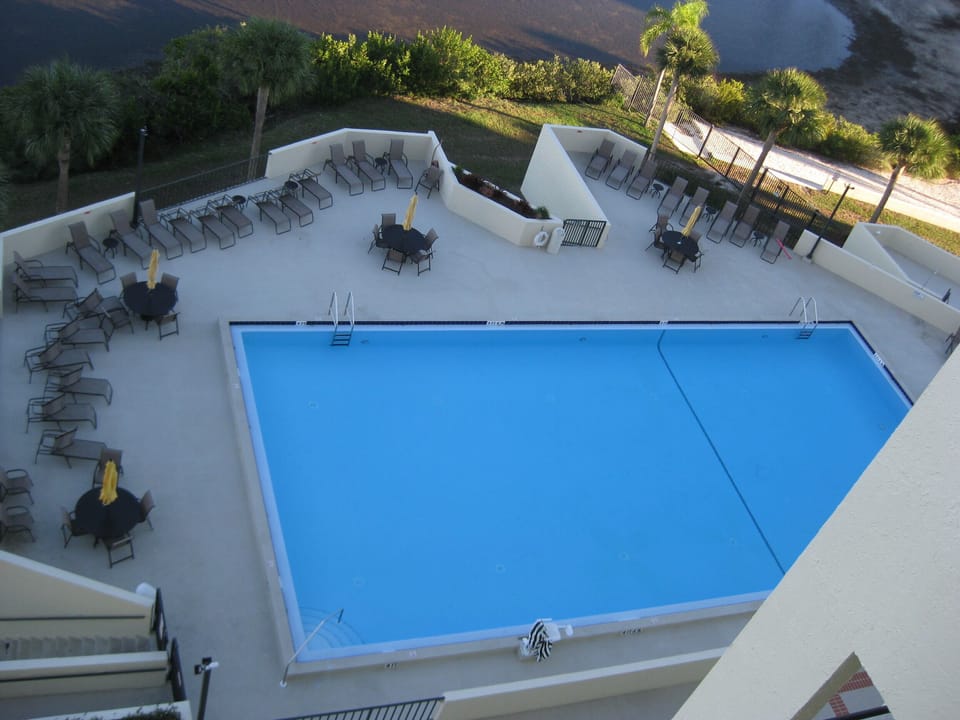 Gorgeous heated and cooled Olympic size pool!