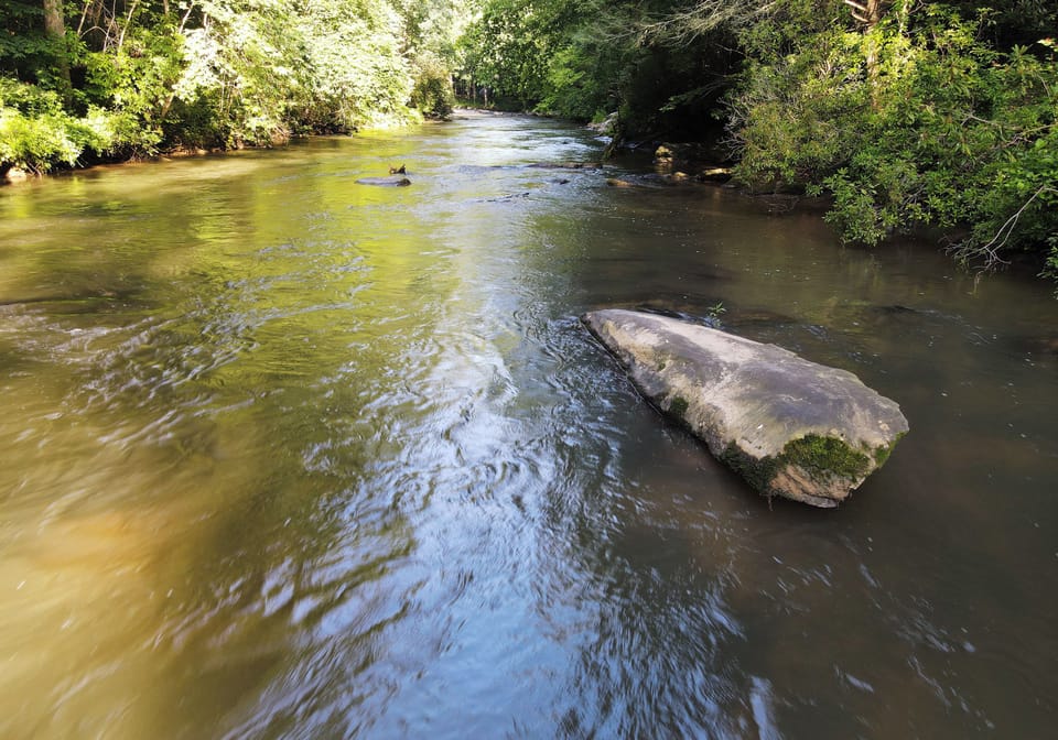 Calm pools for fly fishing