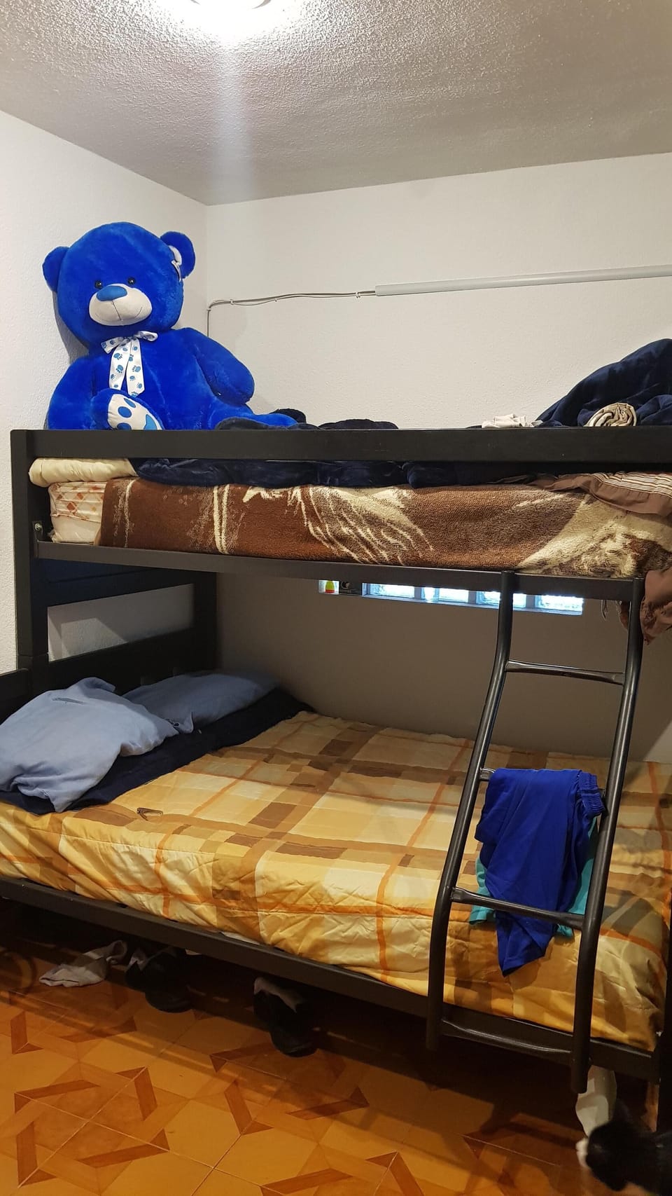 Bed (triple litter) always free 3 spaces