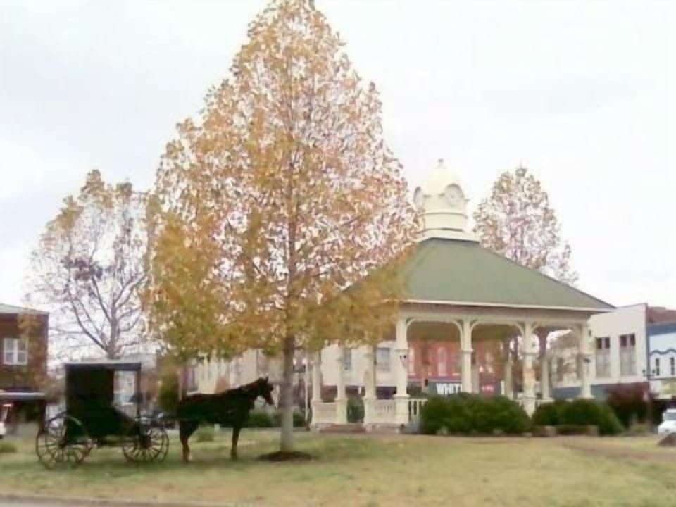 Yep, that's an Amish horse and buggy on the town Square in Lawrenceburg, TN