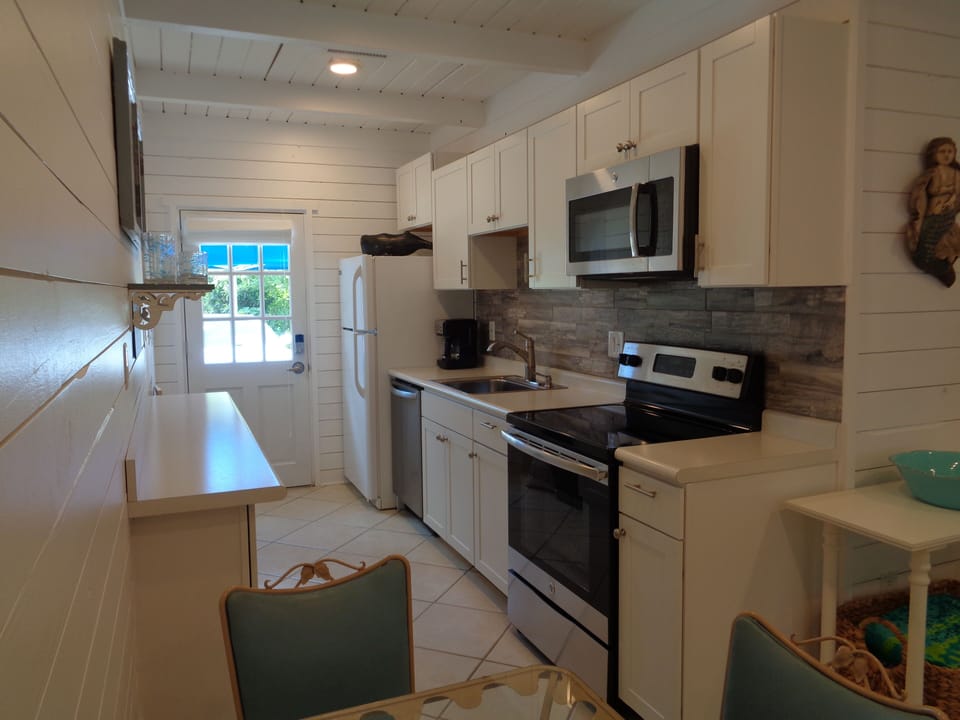 kitchen and back door