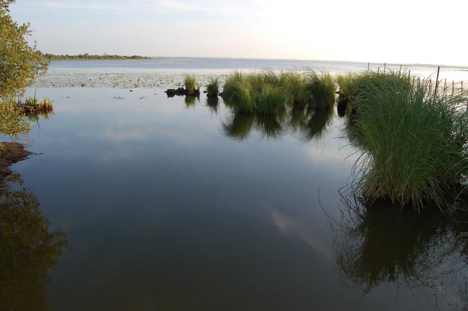 Lake
