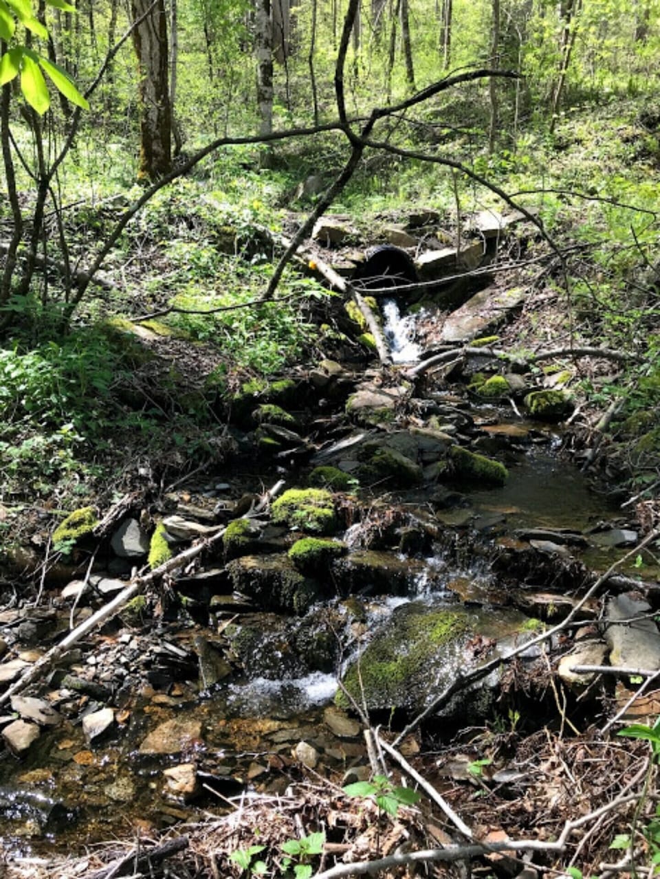 "Lost River" next to the cabin.