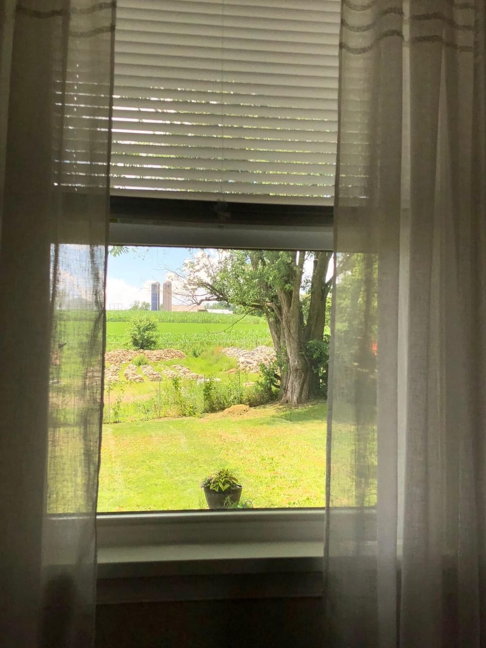 A Bedroom View
