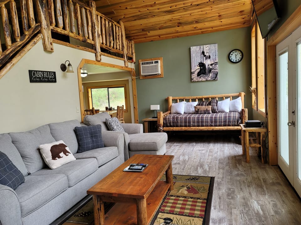 Livingroom with Queen pullout couch