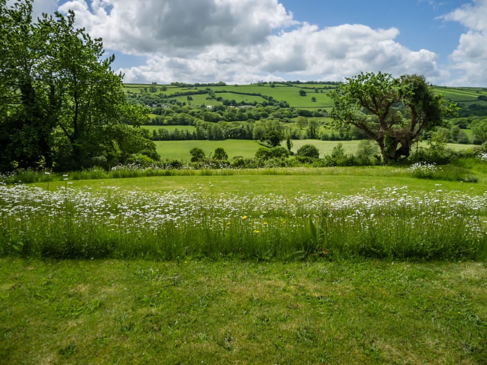 View from the top terrace of the garden
