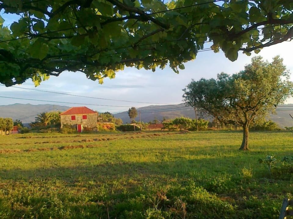 Cottage -view from the main house