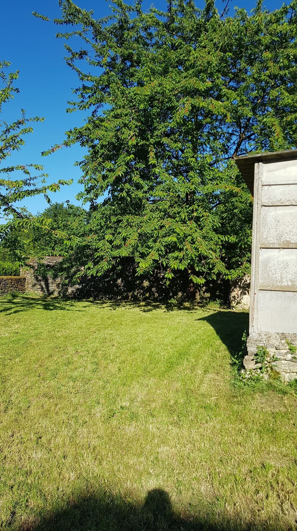 Secluded part of the garden for drinks and picnics