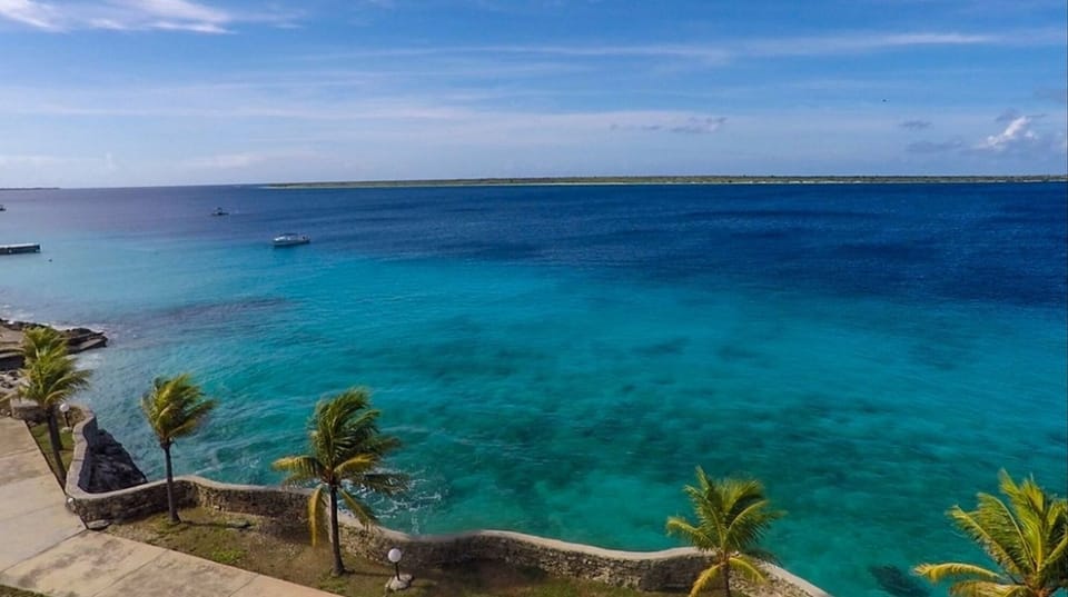 Bari Reef from above