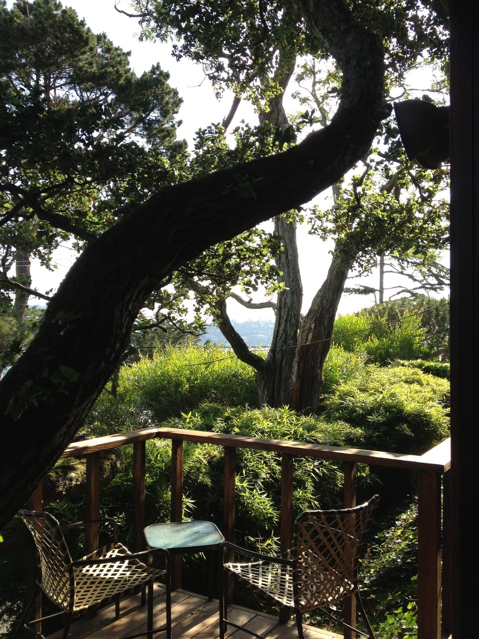 tenants' deck