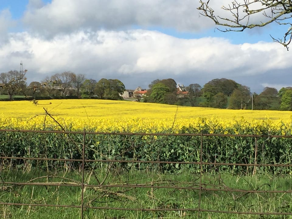 Riding Farm Cottage is surrounded by peaceful countryside 