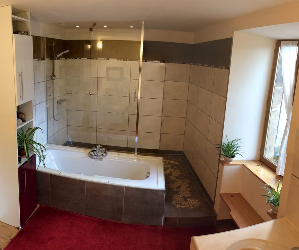 Bathroom:  Walk-in shower, double sink, toilet and bidet.