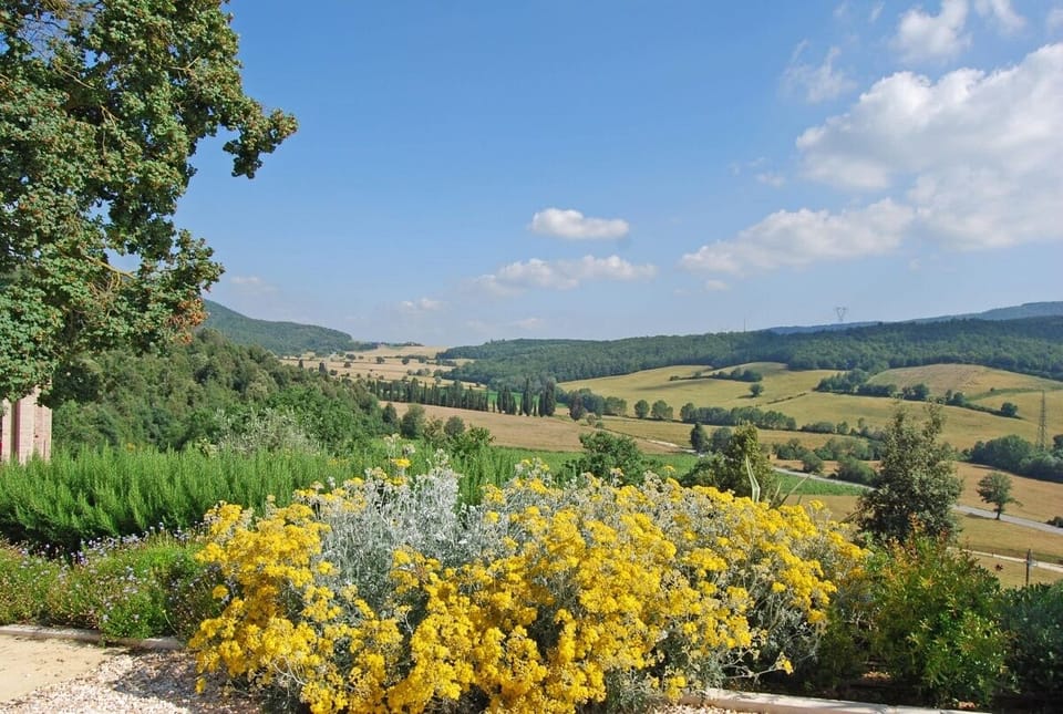 Wonderful apartment in a Tuscan farmhouse with swimming pool and panoramic terrace Apartment in Tuscany