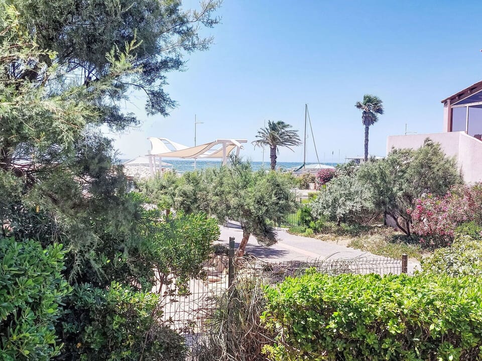 Vegetation, Shrub, Plant Community, Garden, Landscaping, Shrubland, Botanical Garden, Walkway