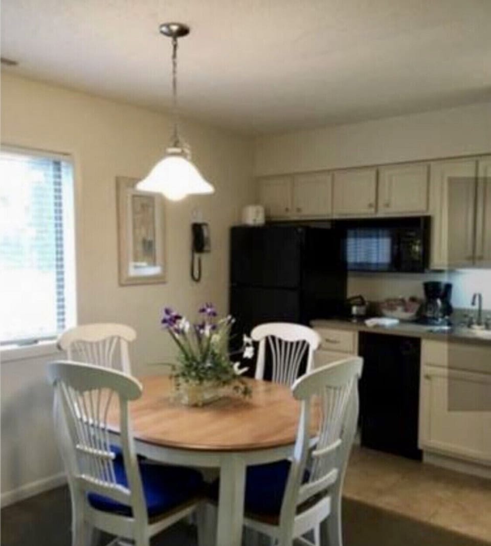 Kitchen with full size refrigerator, dining for 4 and small electric cooktop.