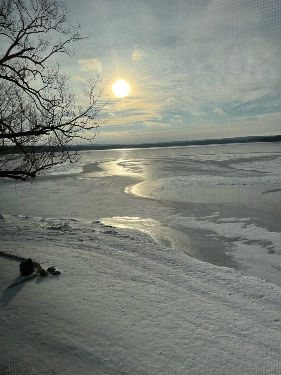 Lovely in any season