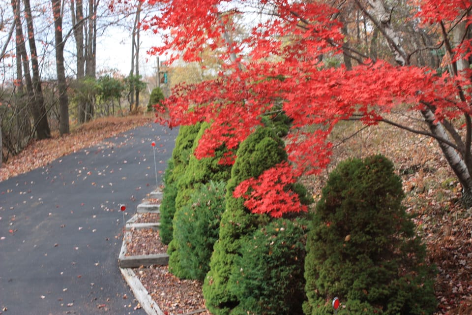 Driveway