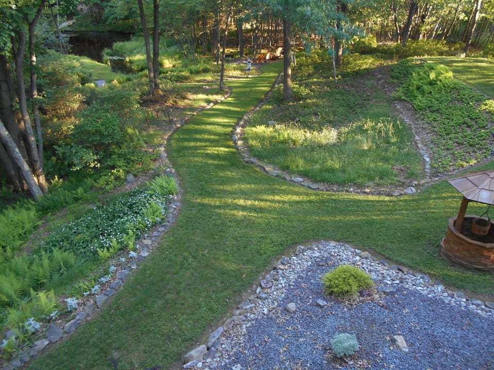 Backyard in May