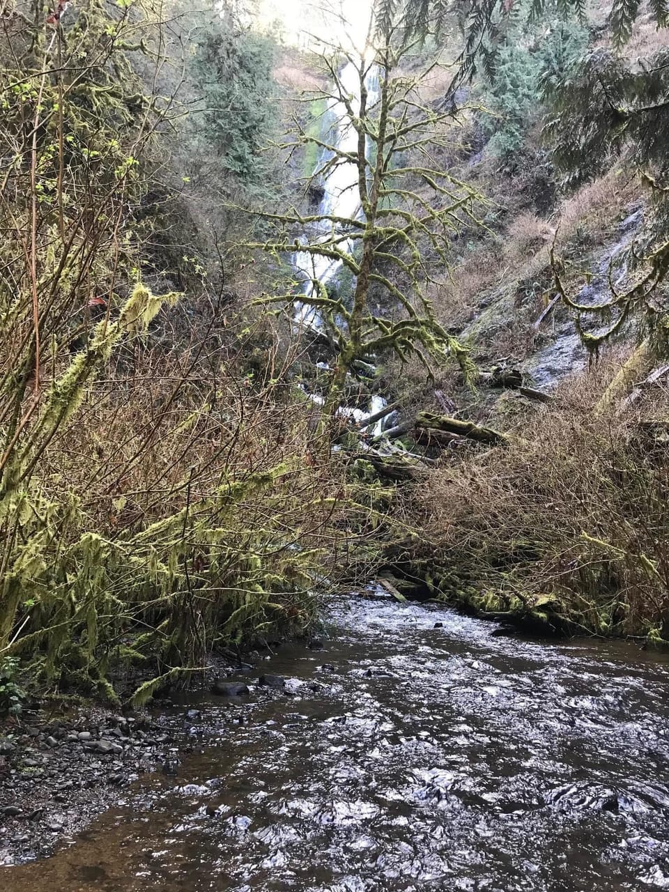 Munson Creek Falls