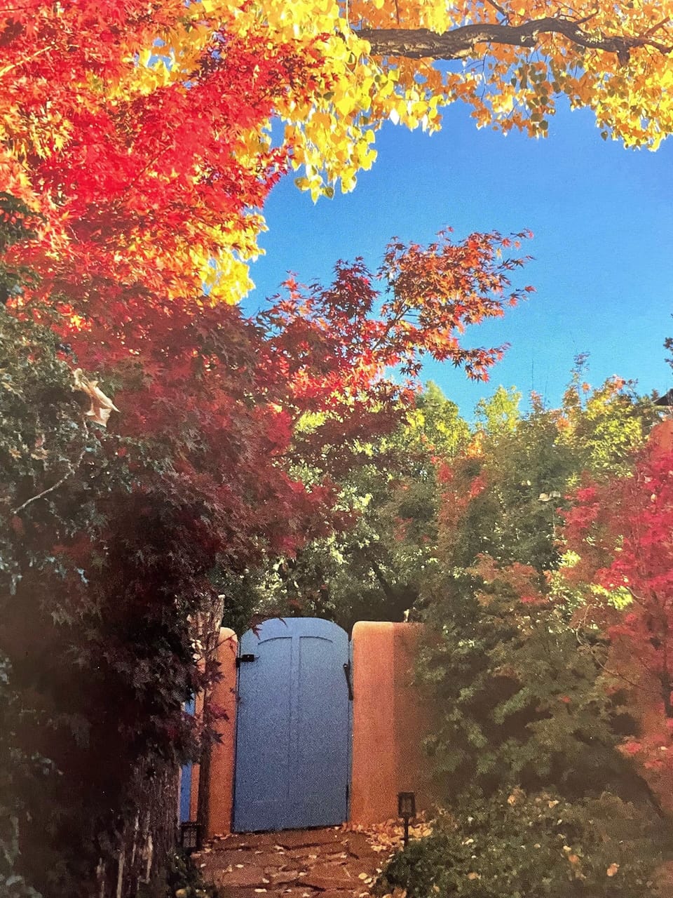 Front courtyard seen from front door. Yard is ablaze in fall.
