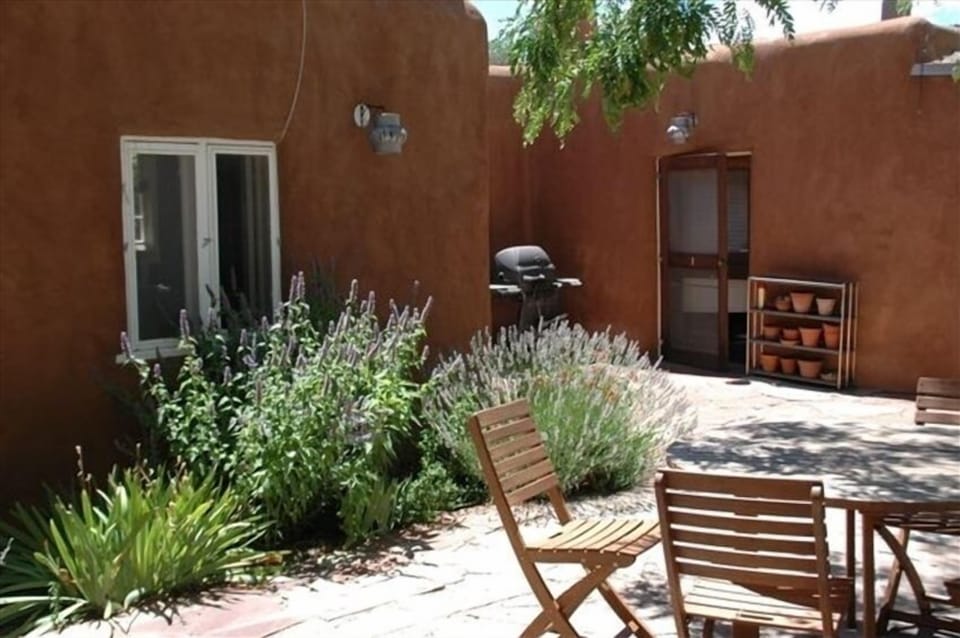Large tree shades our 1,500-square-foot walled rear patio. Kitchen door on right