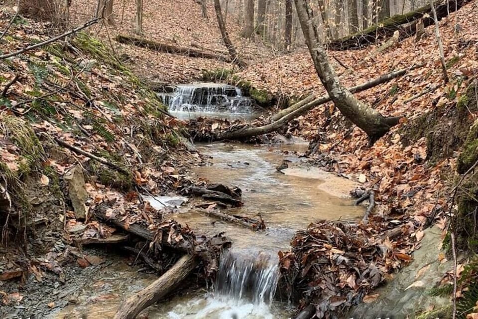 Stream on property at Hawking Pond Cabin