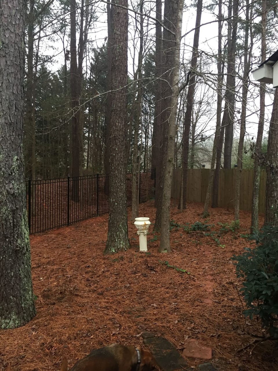 Property grounds