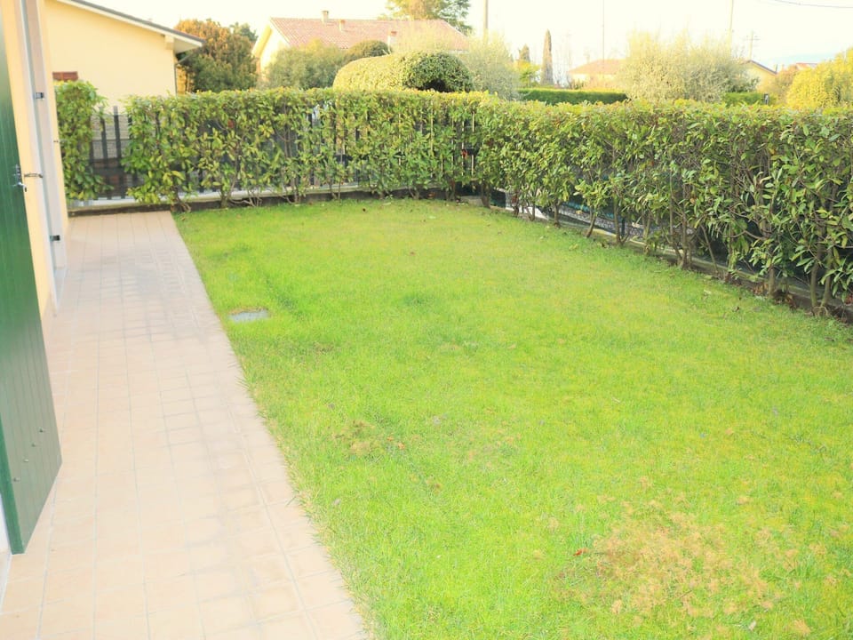 Garden [summer]