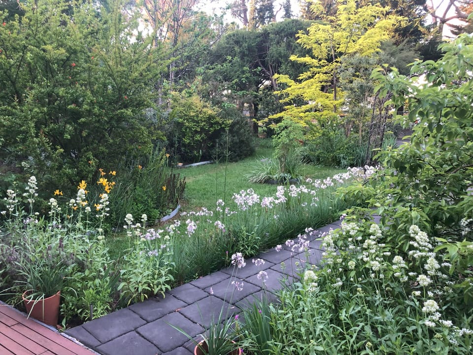 Spring blooms greet you at Bird Hill’s gate – fragrant and alive with bees