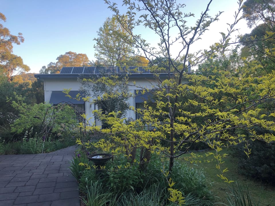 Welcome to Bird Hill Cottage where garden paths lead to nature & quiet moments