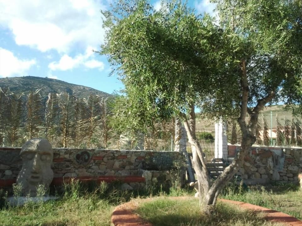 Garden, Park