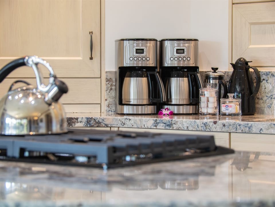 Exceptionally Equipped Chef's Kitchen with Bar Seating
