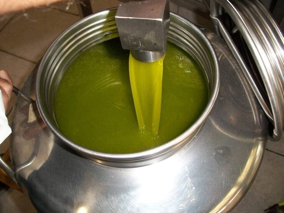 Our extra virgin olive oil.
