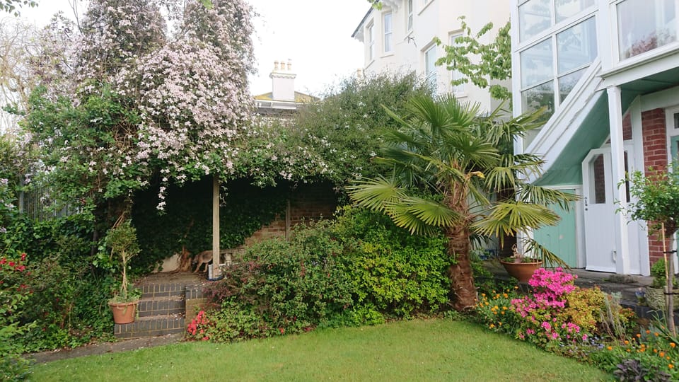 Relax in the garden