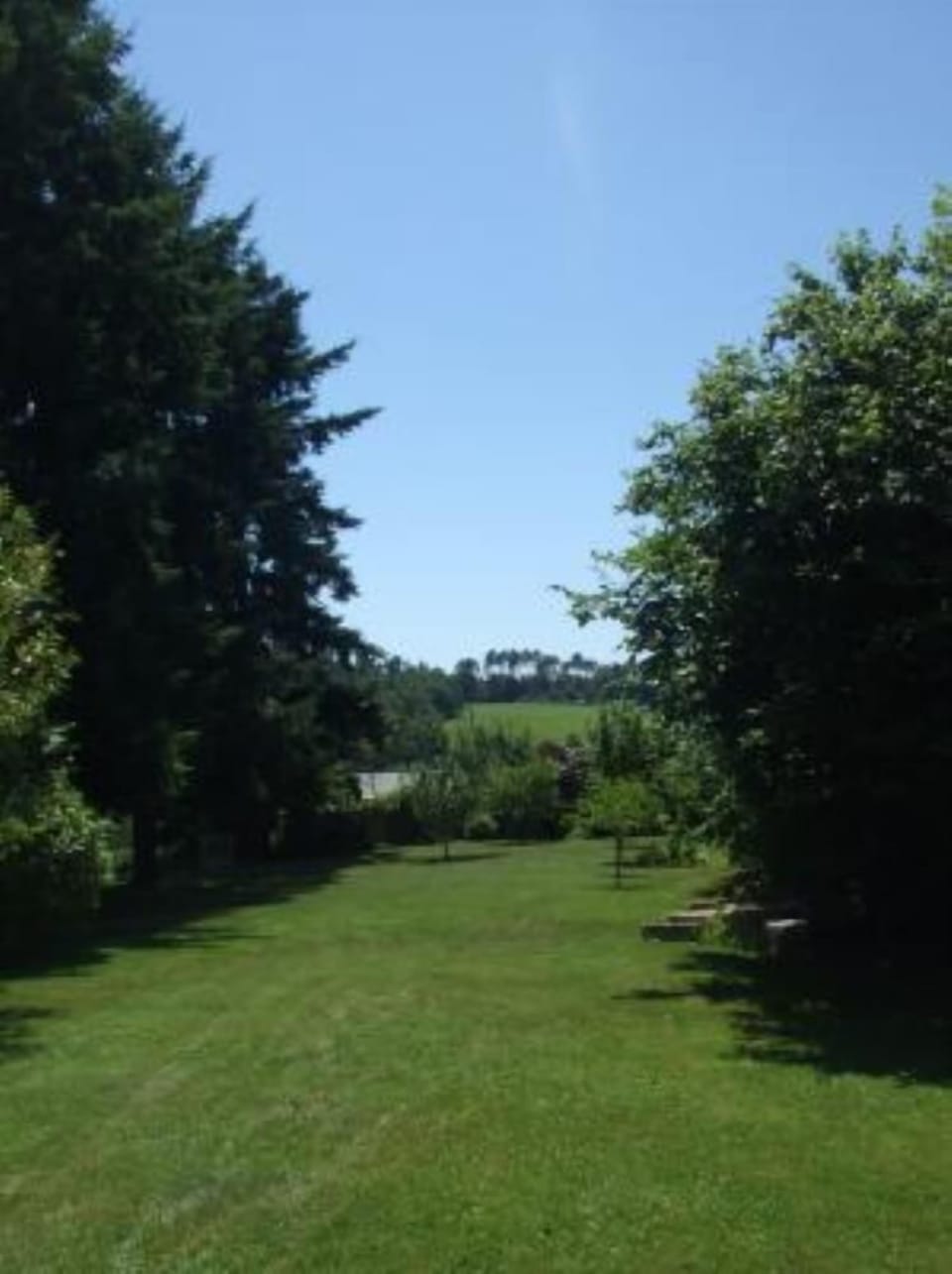 Garden, Park
