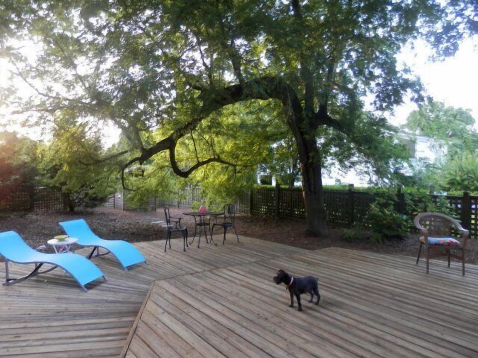 Fenced in back yard with deck