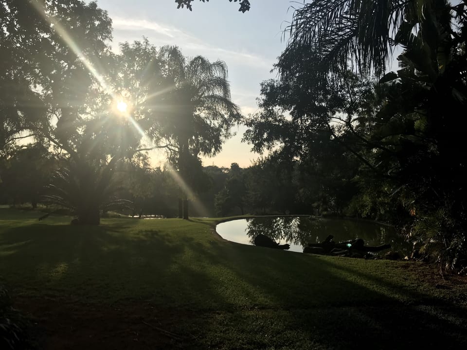 Early morning walk just after sunrise 