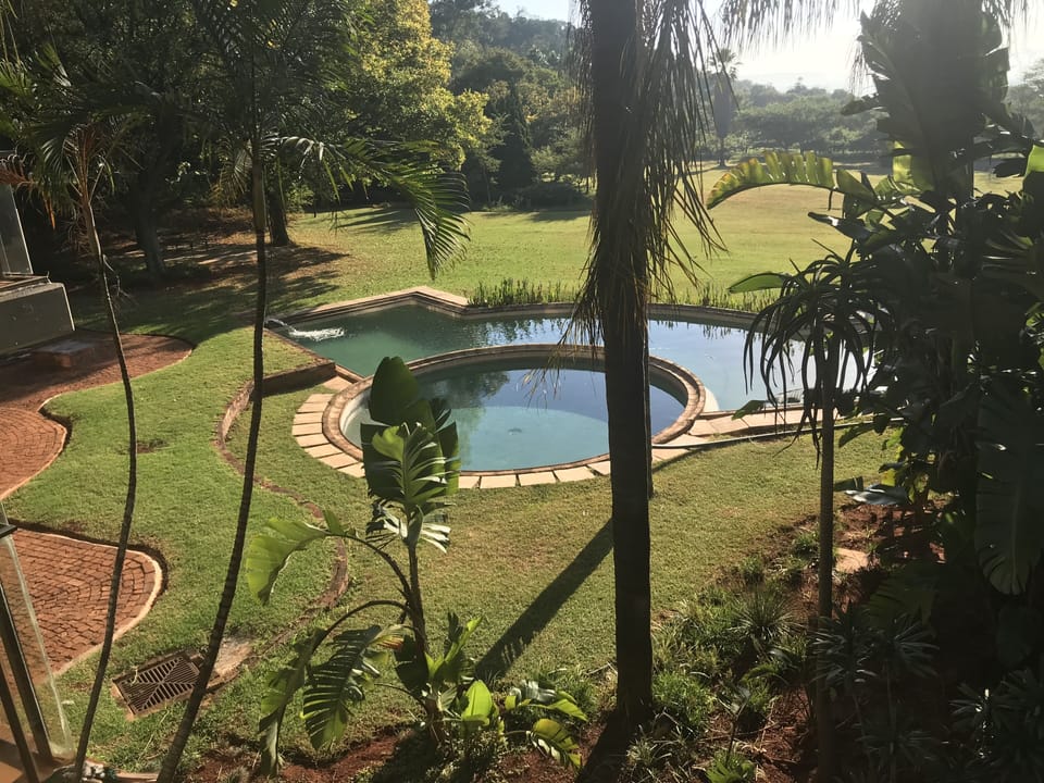 Designers swimming pool to compliment the internal house 