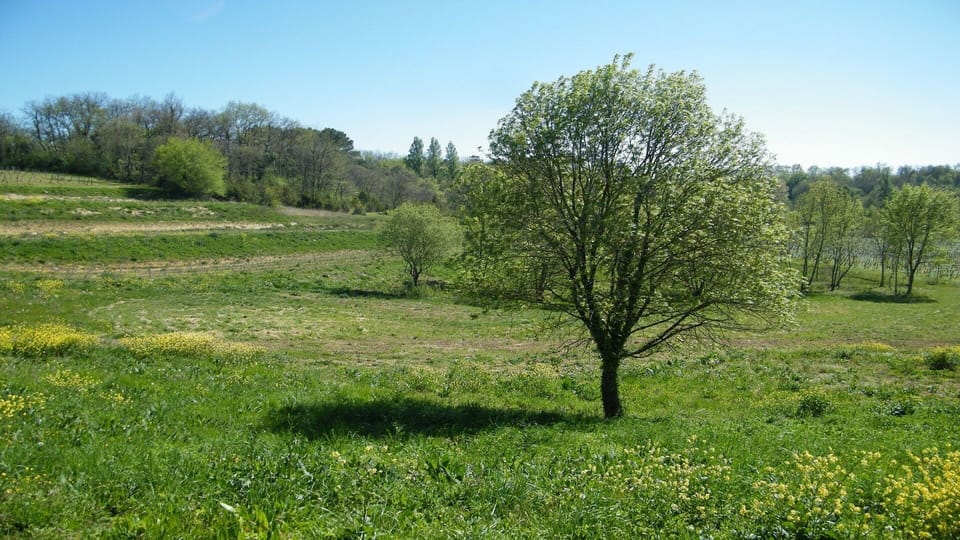 The VAlley