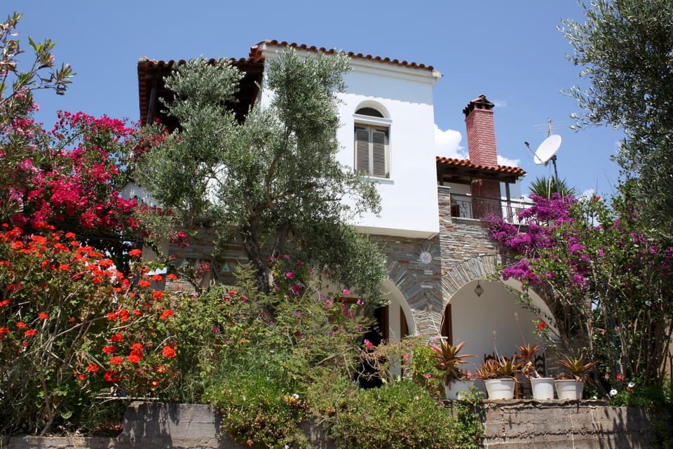 Main view