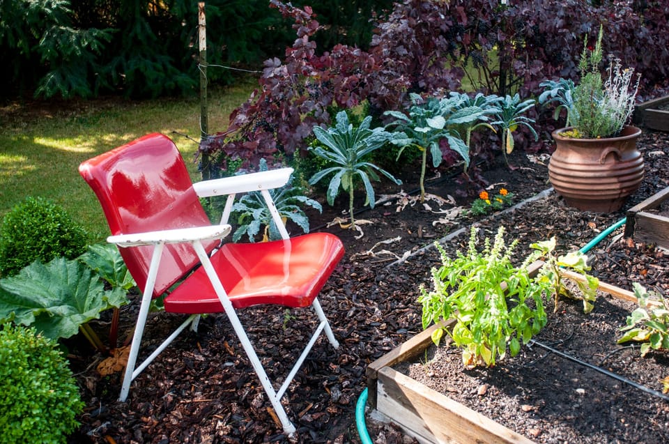 Respite in the Veggie Garden