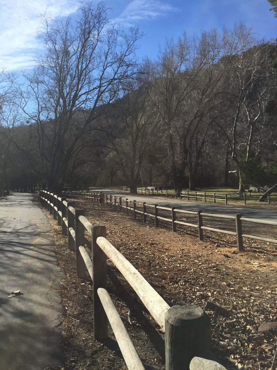 Ojai/ Ventura bike trial 