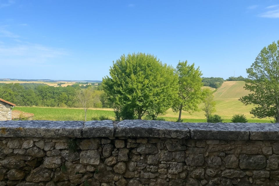 View from property