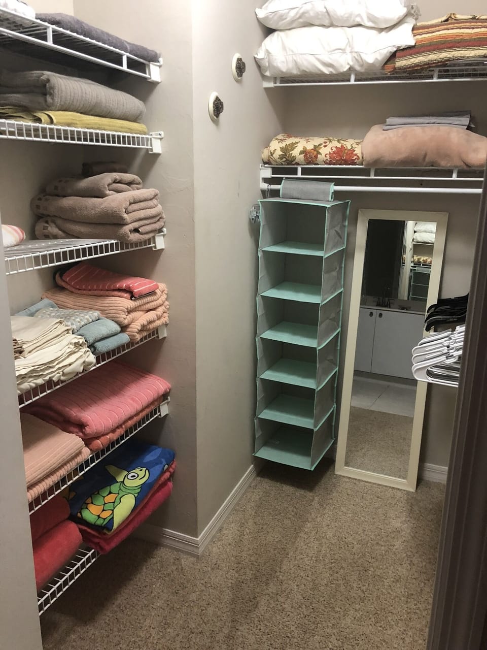 Master Walk in Closet