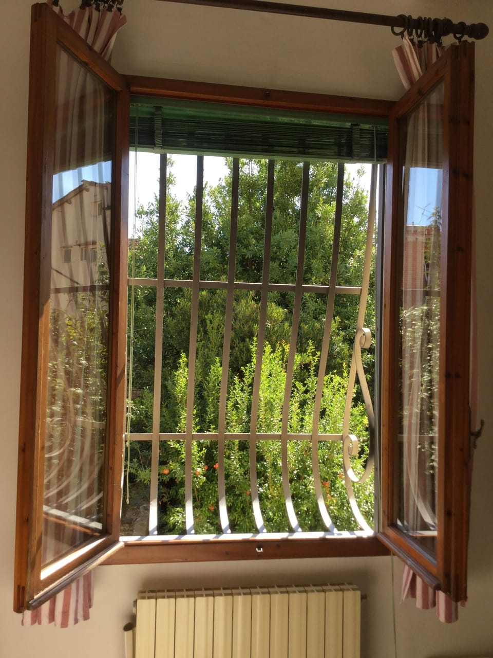 View from the large window of the master bedroom