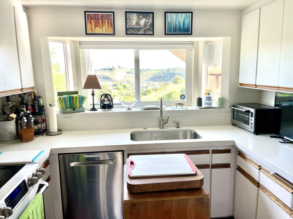 Bosch dishwasher, gorgeous view while washing dishes.
