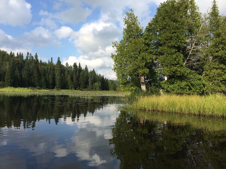 Joe's Creek entering Pond
