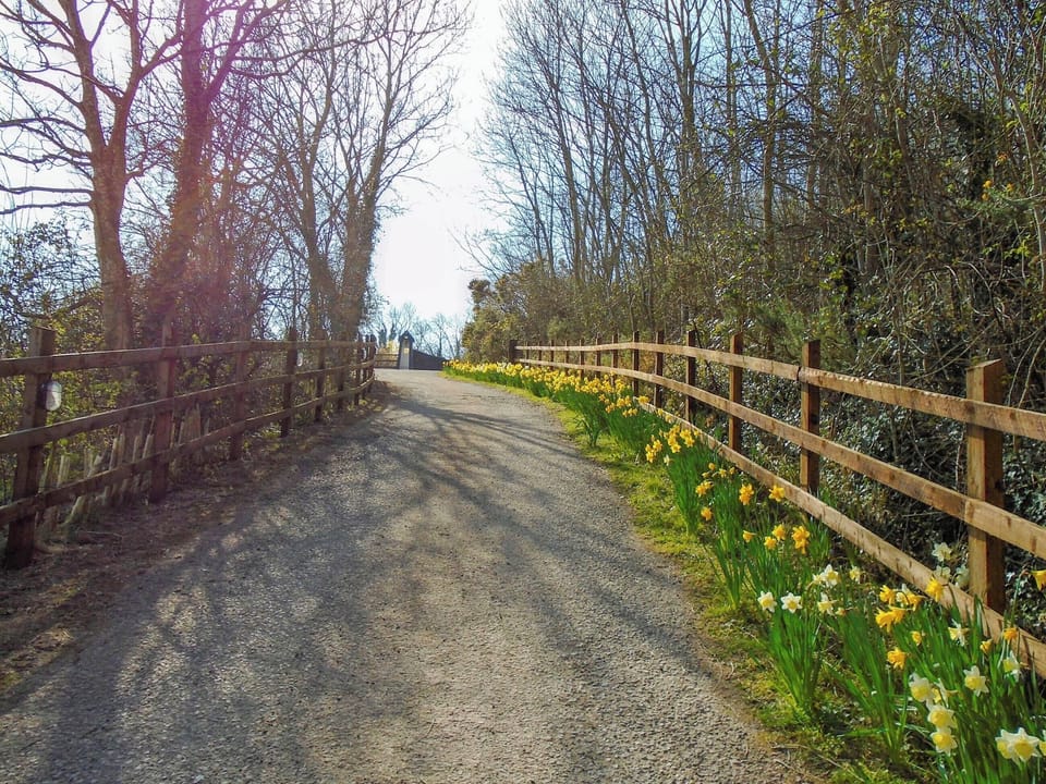 The driveway | The Lodge, Dyserth, near Prestatyn